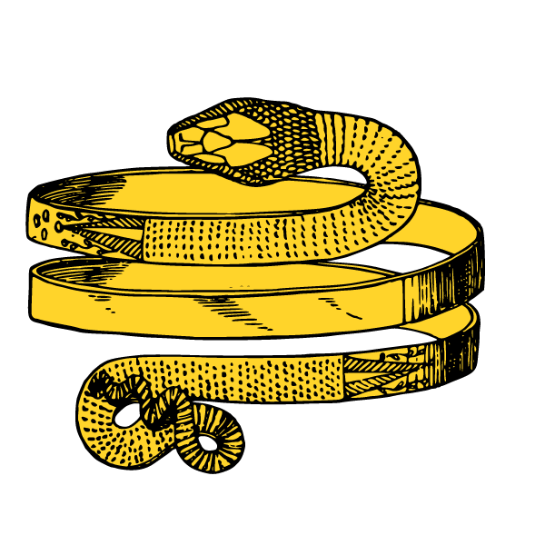 Ancient snake-shaped bracelet